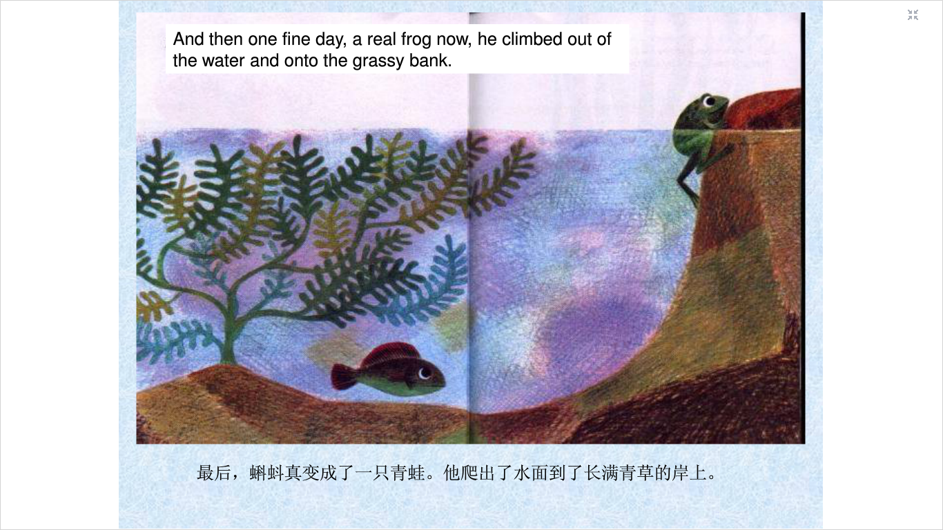 鱼就是鱼 (05),绘本,绘本故事,绘本阅读,故事书,童书,图画书,课外阅读
